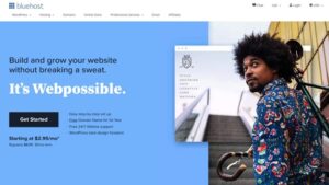 Bluehost Digital Vault