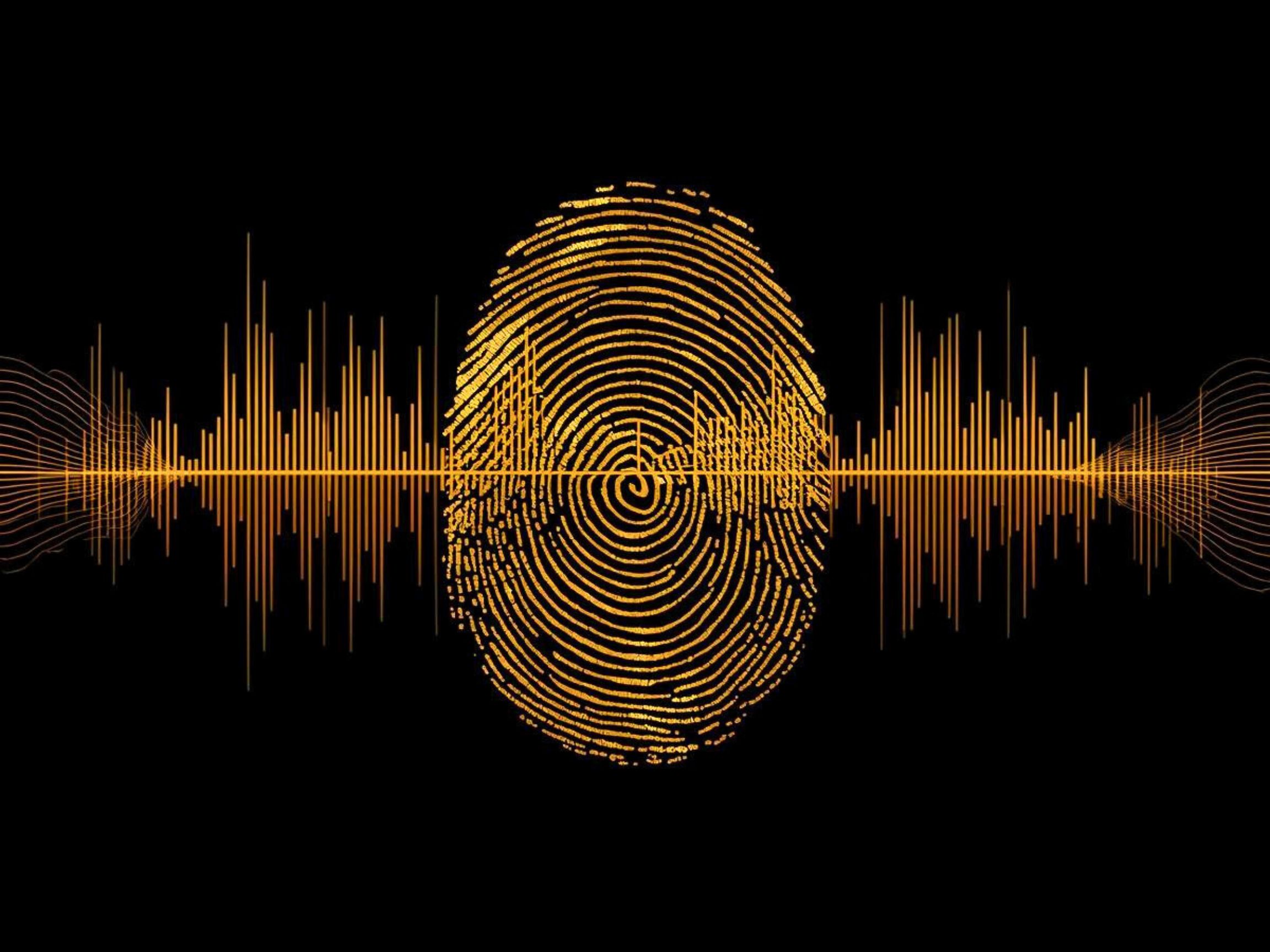 Golden Fingerprint Signal