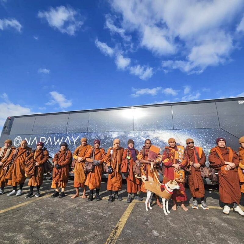 The Walk That Didn’t Ask for Applause